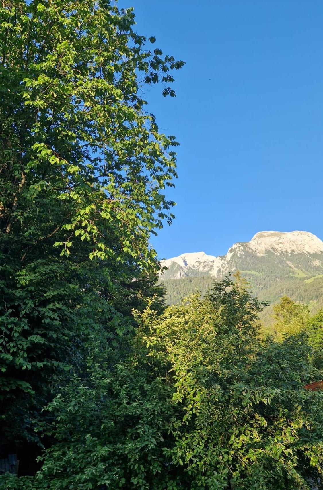 Ferienwohnung Grundhaeusl Schönau am Königssee エクステリア 写真